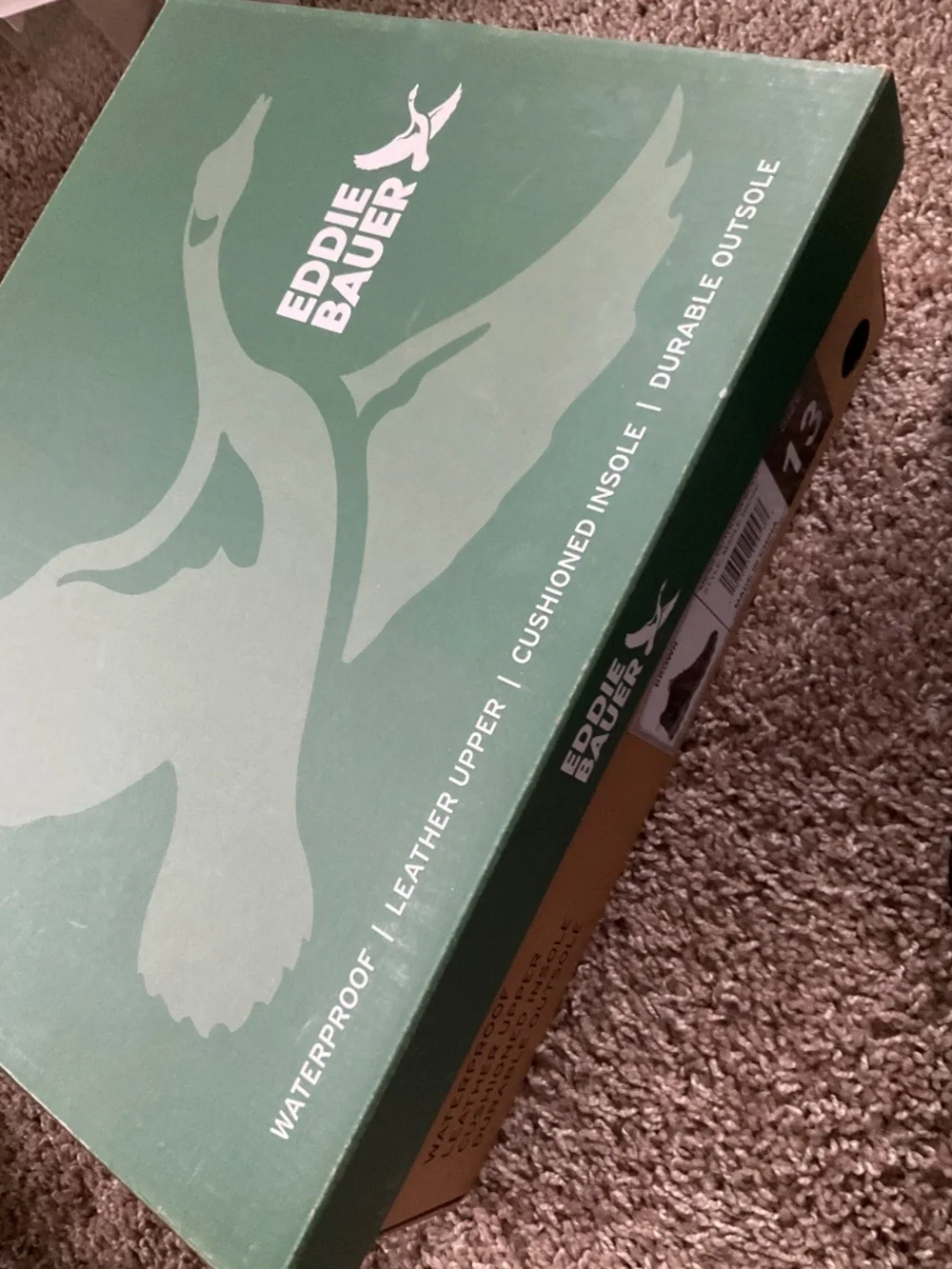 Eddie Bauer Men's Maple Ridge Outdoor Weatherproof Hiking Boot